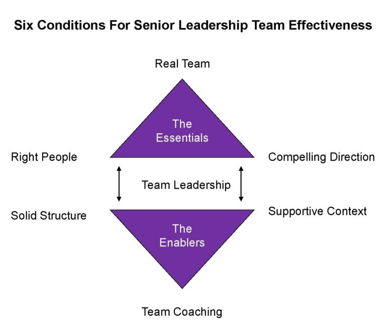 If Your Senior Leadership Team Needs To Be More Effective, Get This ...